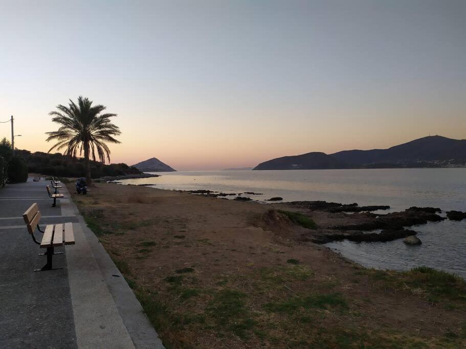 Modern Studio Next To The Sea! Pórto Ráfti エクステリア 写真